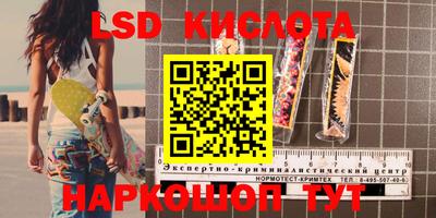 спиды Кимры