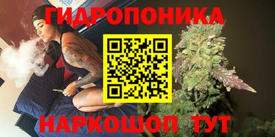 спиды Кимры