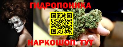 мяу мяу мука Кингисепп