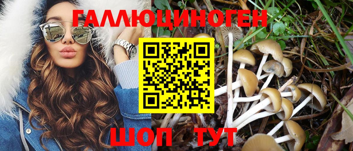 Меф кристаллы  Бошки Шишки  Вход с VPN  Alpha-PVP СК   ГАШИШ  Кизляр  Cocaine 