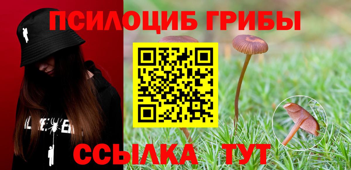 Псилоцибиновые грибы ЛСД  Вход с VPN  Псилоцибиновые грибы прущие грибы  Кизляр 