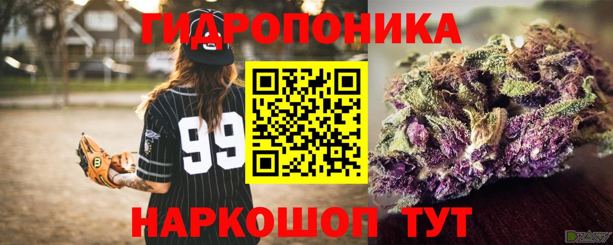 Бошки Шишки OG Kush  Бошки марихуана семена  Марихуана сатива  Кизляр  Вход с VPN 